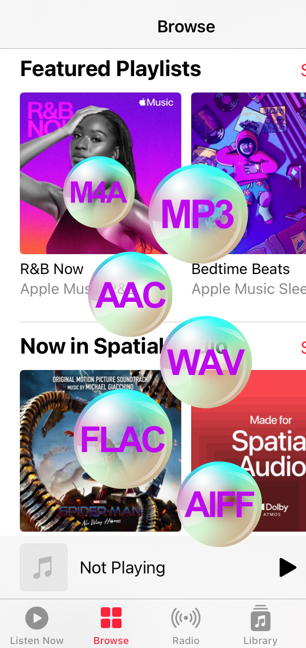 Apple Music Converter